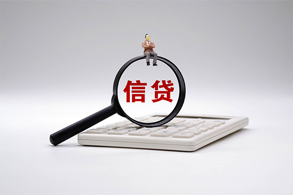 西安31大额短借